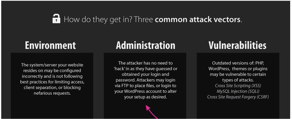 wordpress-security-an-infographic-on-common-malware-and-attacks-pagely