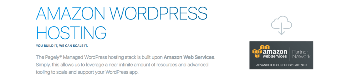 fast wordpress hosting