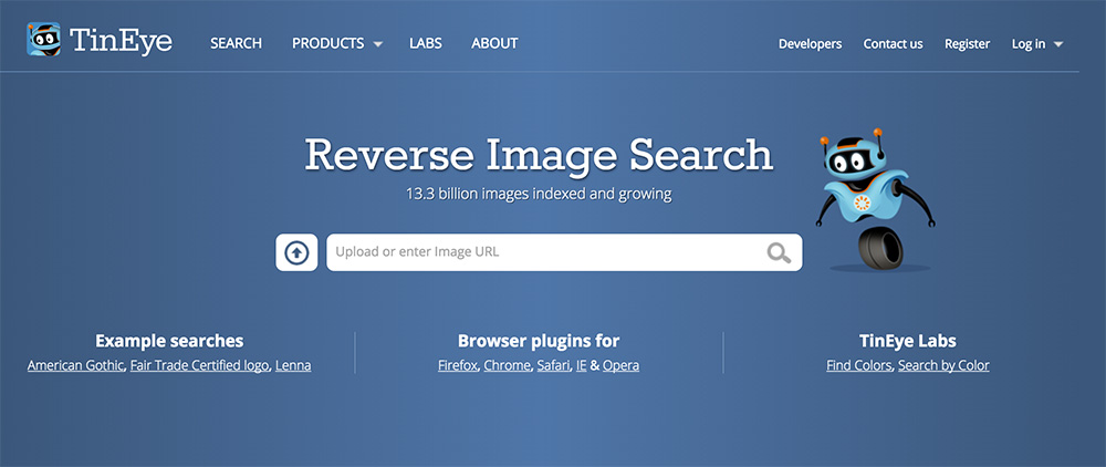 Reverse Image Search